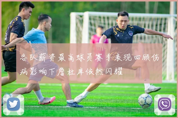 各队薪资最高球员赛季表现回顾伤病影响下詹杜库依然闪耀